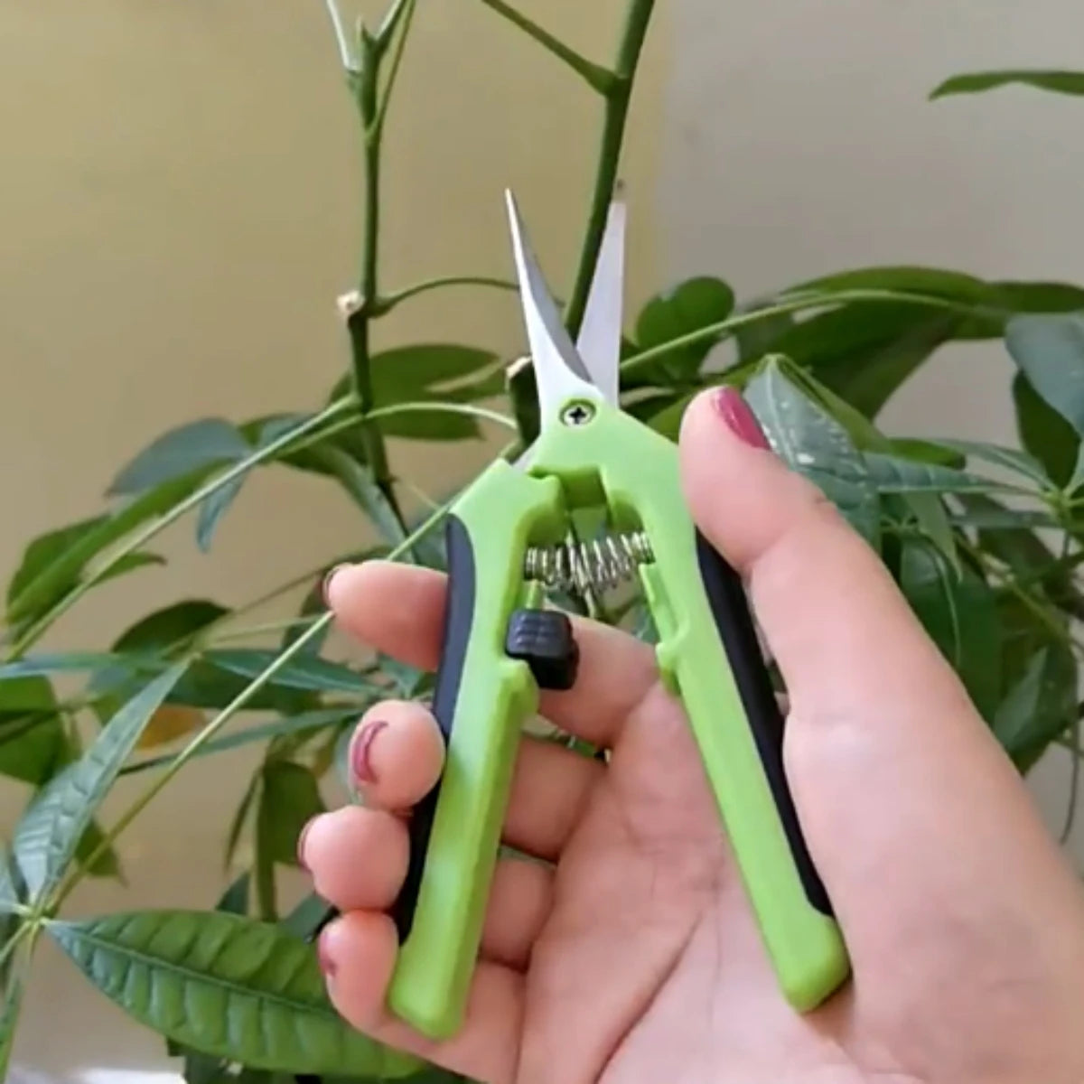 1Pc Stainless Steel Branch Pruning Shears Garden Orchard Plant Flower Fruit Tree Branch Grafting Scissors Straight and Bend Head